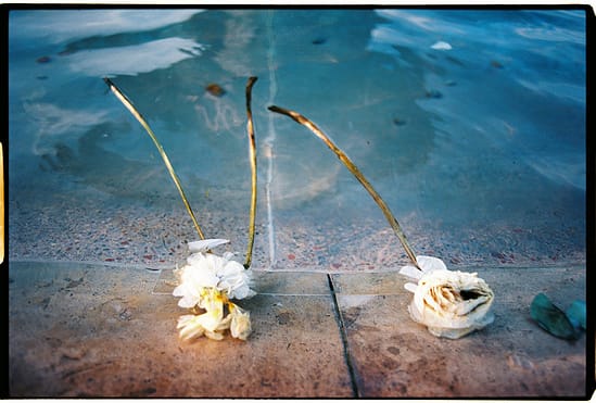 film photograph
