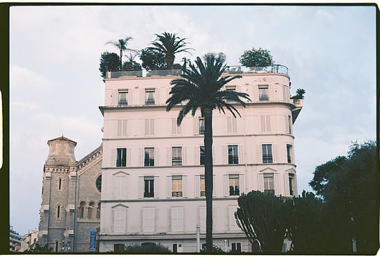 film photograph