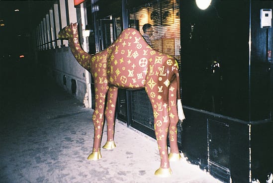 film photograph