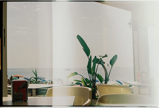 film photograph