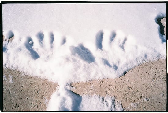film photograph