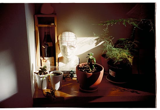film photograph