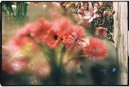film photograph