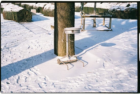 film photograph