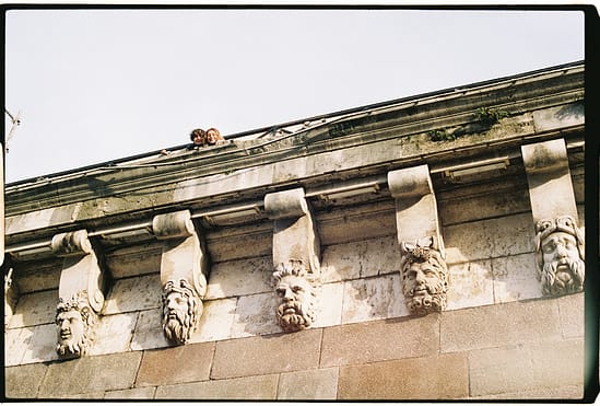 film photograph