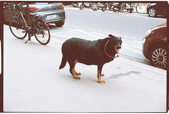film photograph